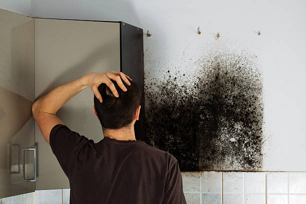 Professional Mold Remediation in Valley Cottage, NY
